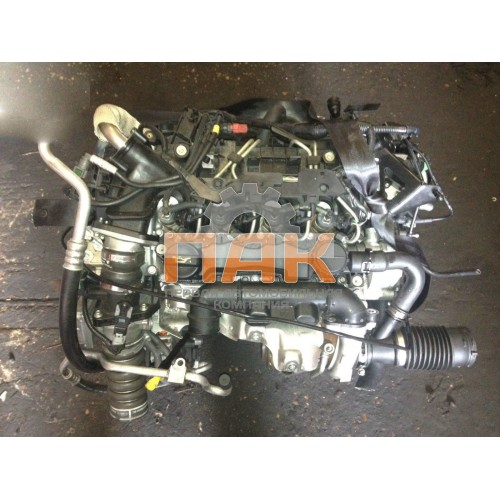 Двигатель Ford 1.6